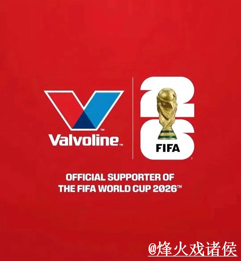 获取世界杯下注的稳定入口地址指南